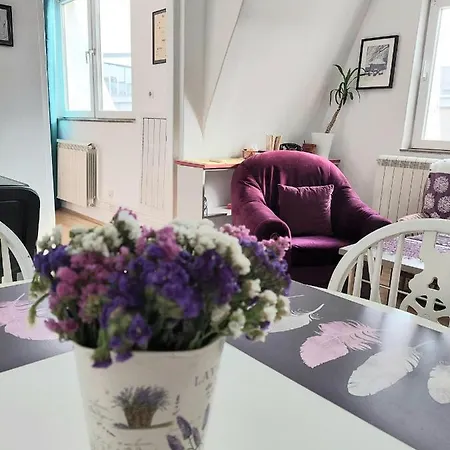 In The Downtown - Walking Distance Attractions * Belgrad